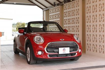 【MINI】カラー　ご紹介