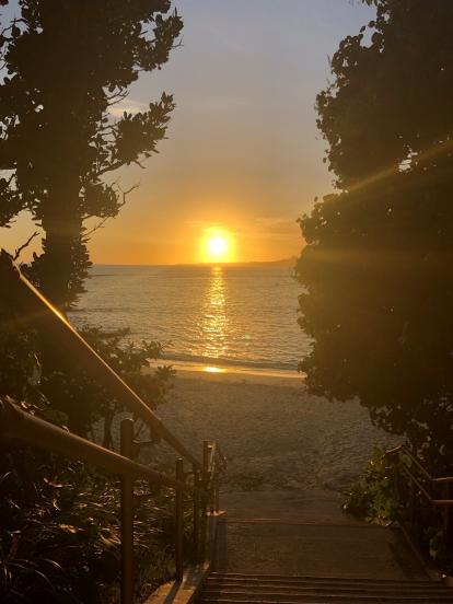 沖縄自然の癒し