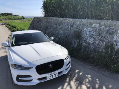 【空とサトウキビとXE】