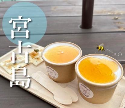 宮古島　新城ミツバチガーデン【BMW 1シリーズ】 