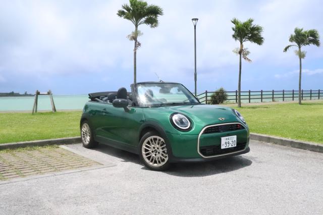 色の指定はできません。