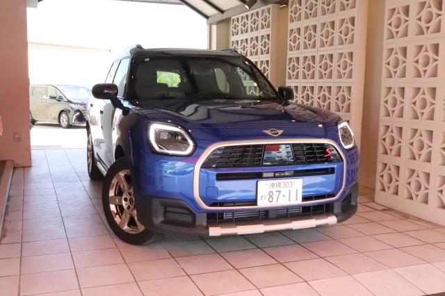 色の指定はできません。