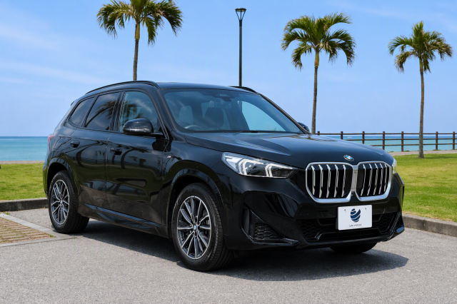 X1 xDrive20d Mスポーツ